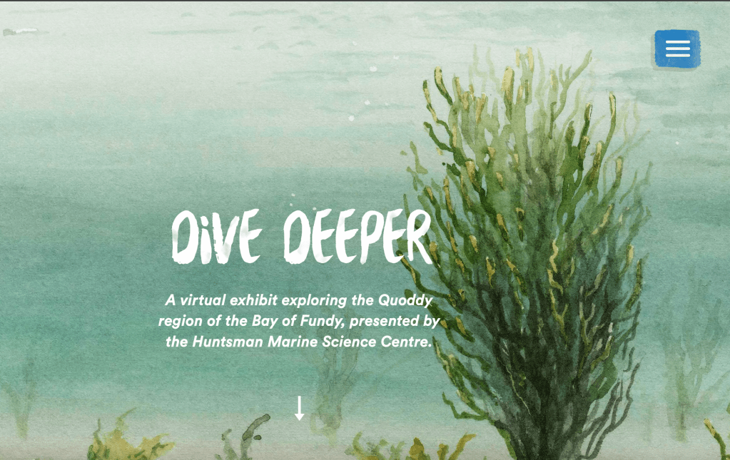 DiveDeeper.site homepage screenshot